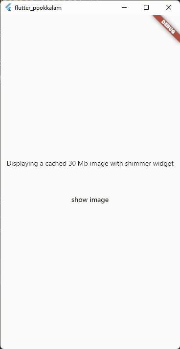 The below gif displays a 30 MB image from cache